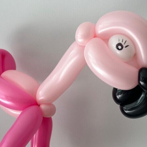 Ballon artiest Nieuw Vennep  (NL) Ballonplezier