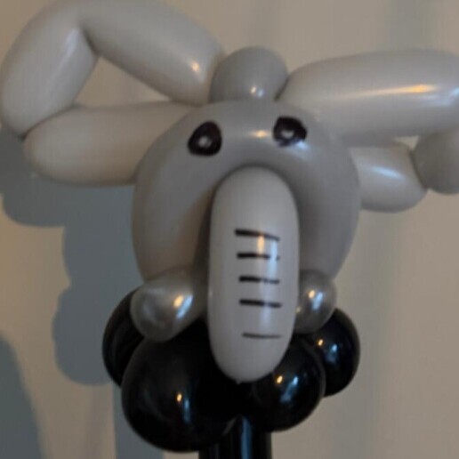 Schminker Nieuw Vennep  (NL) Glitterparty & Ballonplezier