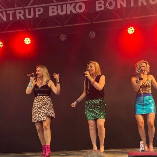 Singing group Spaarndam  (NL) StijlAchterover