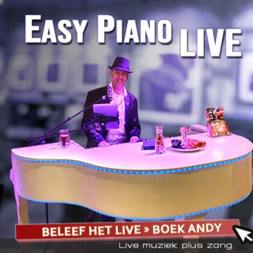 Zanger Elshout  (NL) Easy Piano Live