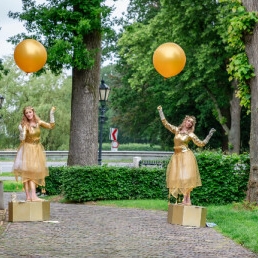 Animatie Amersfoort  (NL) Gouden Kerstact! - Golden Christmasact!