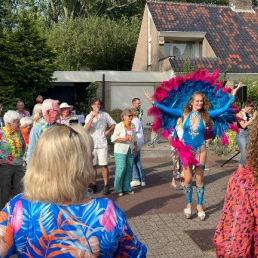 Dancing Hostess Zomer Carnaval