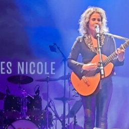 Zangeres Nicole bruiloft, Feest