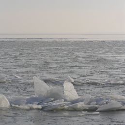 IJskoud avontuur op de Zuiderzee