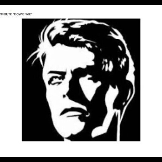 Band Den Haag  (NL) David Bowie Tribute Bowie Wie?