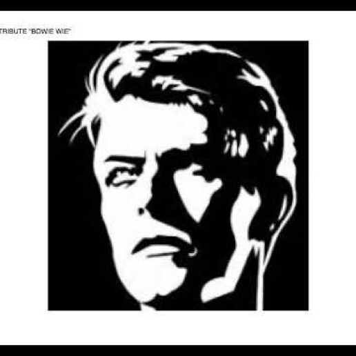 Band Den Haag  (NL) David Bowie Theater show Bowie Wie?