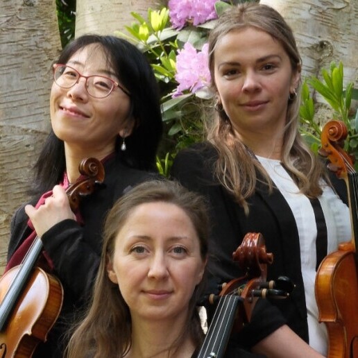 Violist Voorburg  (NL) Alla Classica - live klassieke muziek