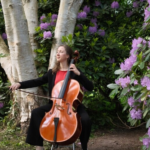 Violist Voorburg  (NL) Violist – elegante live muziek