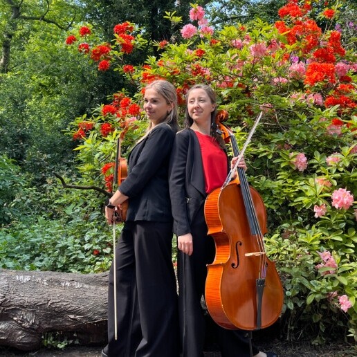 Violist Voorburg  (NL) Viool-cello duo voor uw evenement