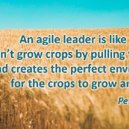 Agile Leadership: Peter Koning