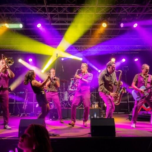 Band Rijen  (NL) Party band The Bounties