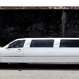 Lincoln Town Car Limousine Wit