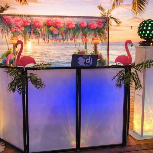 Drive-in show Alphen aan den Rijn  (NL) DISCO RETRO SUMMER! with DJ Mako