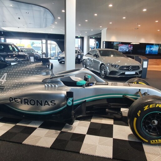 Sports/games Losser  (NL) Fullsize MC Race Simulator