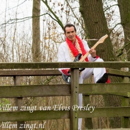 Zanger Grootegast  (NL) WILLEMZINGT-GOUD VAN OUD ELVIS