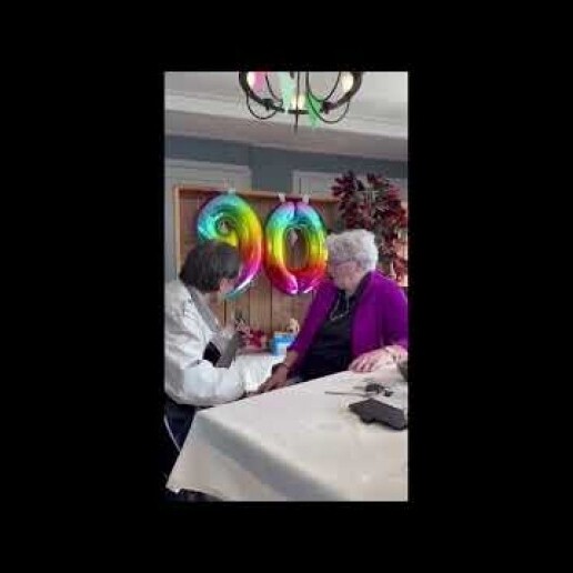 Zanger Grootegast  (NL) WILLEMZINGT-GOUD VAN OUD ELVIS