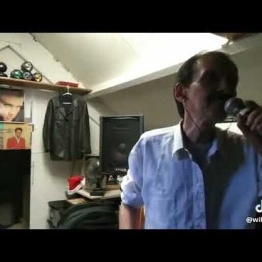 Zanger Grootegast  (NL) WILLEMZINGT-GOUD VAN OUD ELVIS