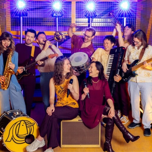 Band Delft  (NL) Ducktape