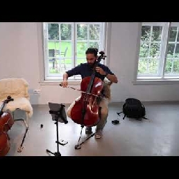 Bordon Cello