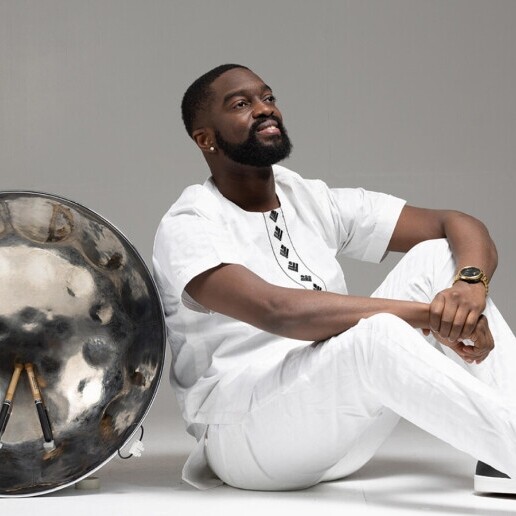 Percussionist Amsterdam  (NL) Soloist Steelpan Artist