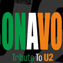 Bonavox U2 tribute band