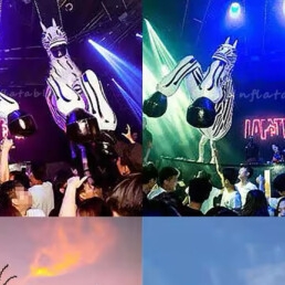 INFLATABLE ANIMALS | EVENT entertainment