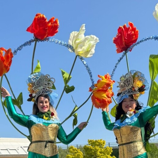Animatie Waddinxveen  (NL) XXL Tulpen Steltenlopers/ Entertainment