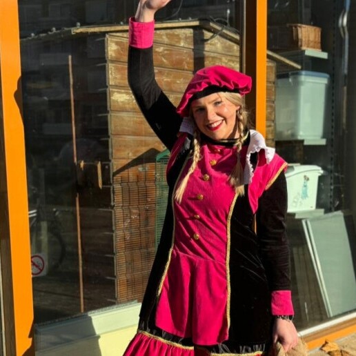 Animatie Waddinxveen  (NL) Dans pieten | Sinterklaas show