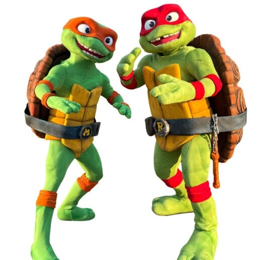 Karakter/Verkleed Heinenoord  (NL) Teenage Mutant Ninja Turtles