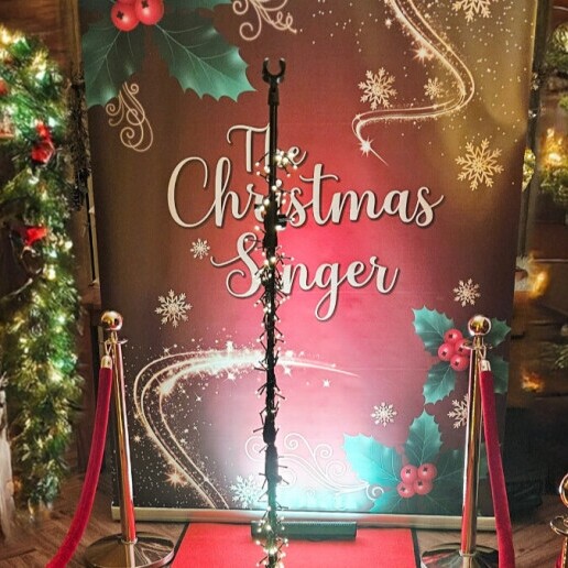 Singer (male) Tilburg  (NL) The Christmas Singer | The Christmas Singer