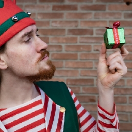 Naughty Christmas Elves (Price per 2 p.)