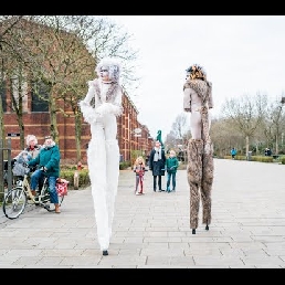 Cats on Stilts