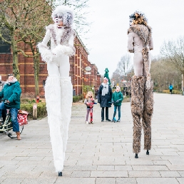 Cats on Stilts