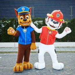 Karakter/Verkleed Heinenoord  (NL) Paw Patrol