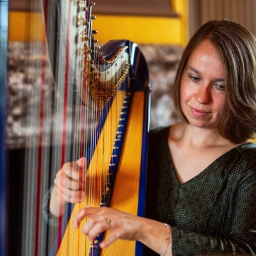 Harpist Amsterdam  (NL) Harp achtergrondmuziek Sari van Brug