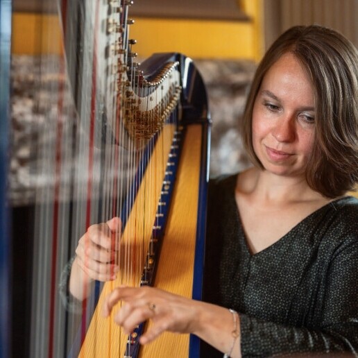 Harpist Amsterdam  (NL) Harp background music Sari van Brug