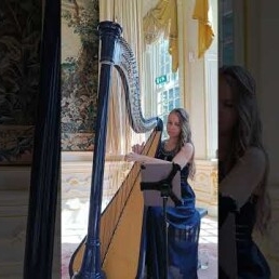 Harp achtergrondmuziek Sari van Brug