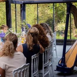 Harp achtergrondmuziek Sari van Brug