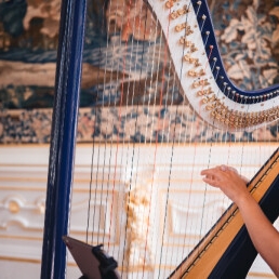 Harp achtergrondmuziek Sari van Brug