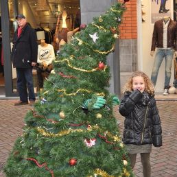 Karakter/Verkleed Amstelveen  (NL) Danny de Wandelende Kerstboom