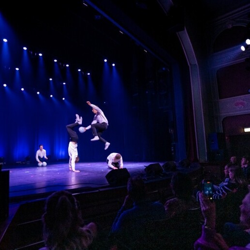Event show Zwolle  (NL) Freestyle Voetbal Show | StreetSkills