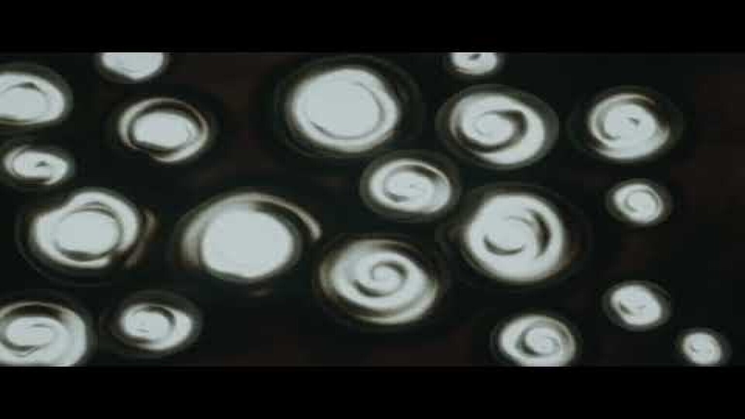 Artist Haarlem  (NL) Promotional Animation- Infofilm sand art