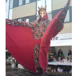 Stilts act: huge bird on stilts