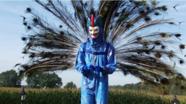 Stilt Act: Peacock on stilts