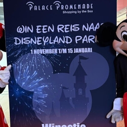 Mascot Hire Mickey and Minnie