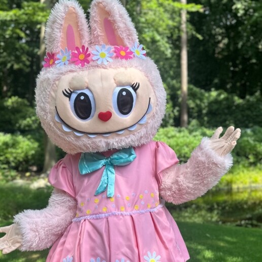 Character/Mascott Diemen  (NL) Labubu mascot with guidance