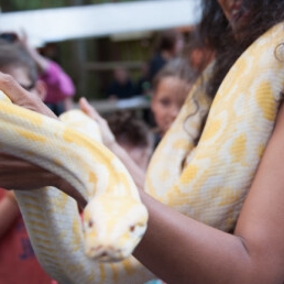 Belly dancer Mariana with snake