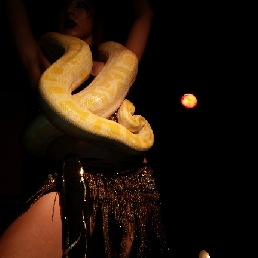 Halloween Act - snake charmer m/f