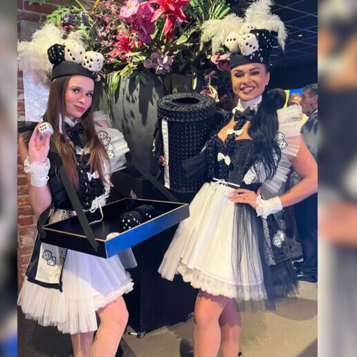 Animatie Rotterdam  (NL) Entertainers - Casino spel dobbelsteen