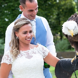 Roofvogeldemonstratie